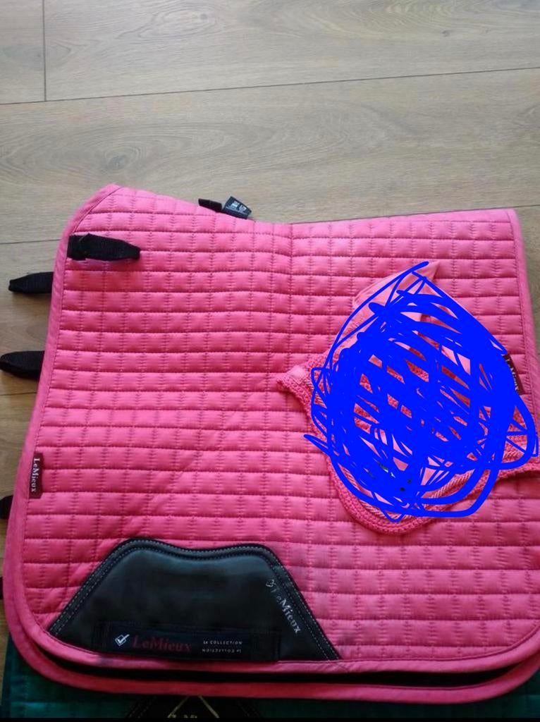 Partij paardenspullen, Dieren en Toebehoren, Ophalen of Verzenden, Gebruikt, Deken