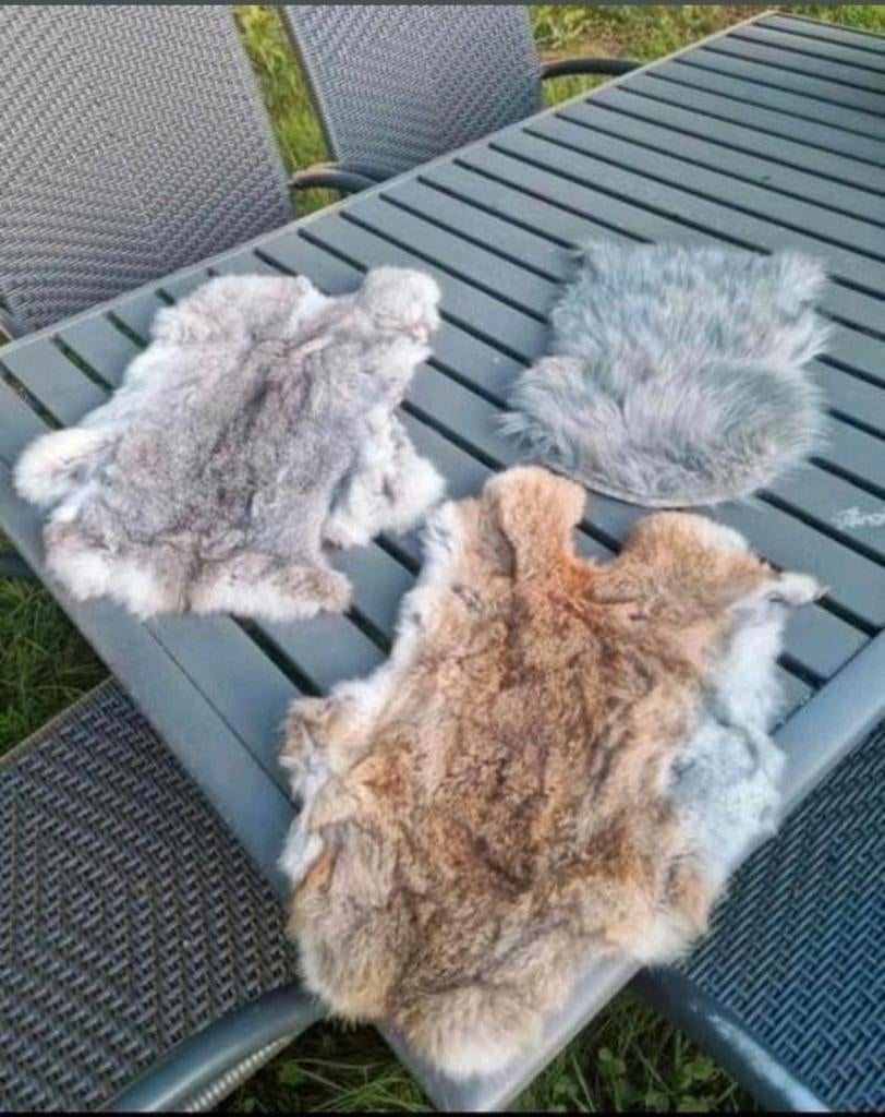 6 x Konijnenvacht konijnen vachten konijn vacht vachtje bont, Huis en Inrichting, Woonaccessoires | Plaids en Woondekens, Zo goed als nieuw
