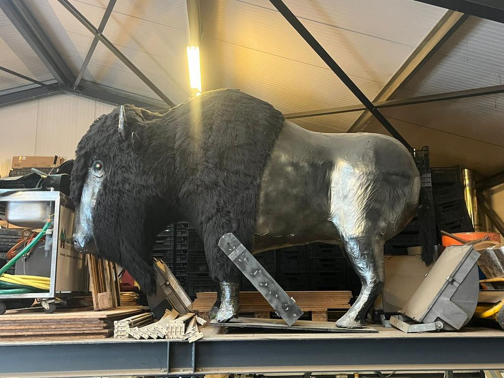 Bizon / buffel, Ophalen, Zo goed als nieuw, Feestartikel, Carnaval