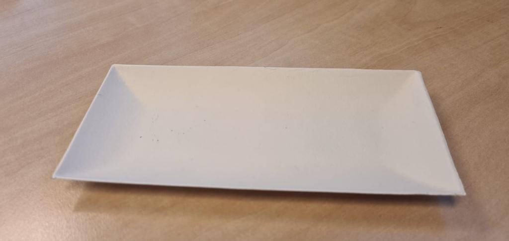 Disposables Suikerriet bordjes 18 x 9 cm, Ophalen of Verzenden, Nieuw