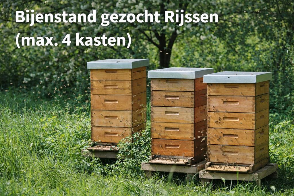 Bijenstand gezocht Rijssen (1- 4 kasten), Bijen