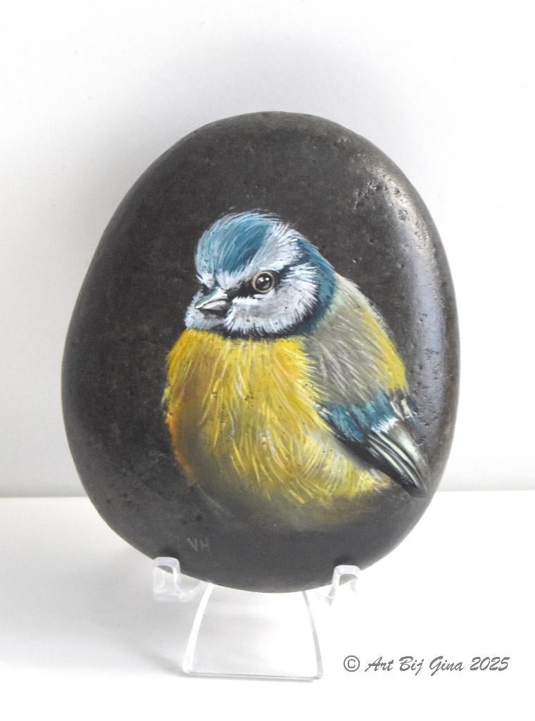 Pimpelmeesje hand geschilderd op een mooie riviersteen, Ophalen of Verzenden