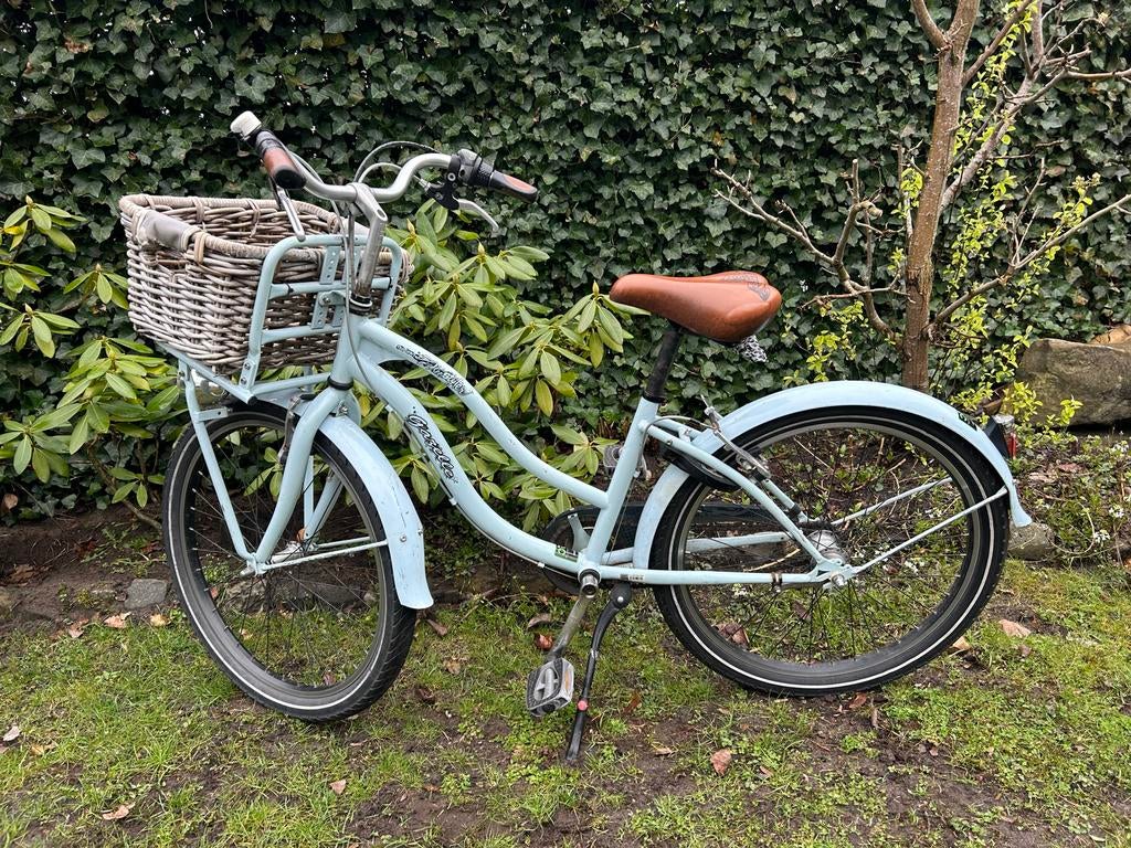 Gazelle Freestyler 24 inch, Fietsen en Brommers, Ophalen, Gebruikt, 20 inch of meer