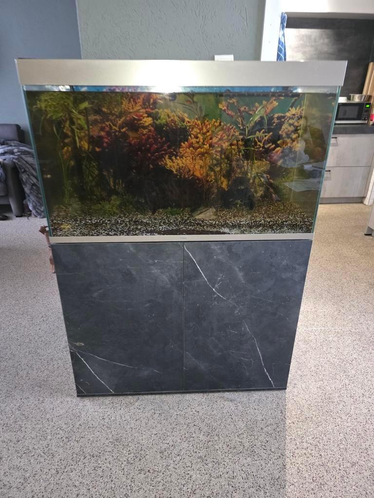Mooie bak met kast en pomp alles goed., Ophalen of Verzenden, Zo goed als nieuw, Leeg aquarium