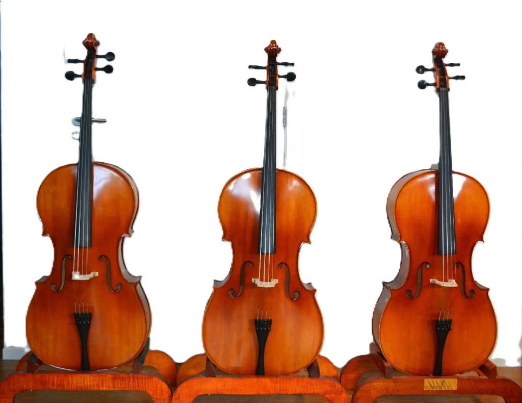 Nieuwe 4/4 cello tekoop en tehuur gratis verzending, Muziek en Instrumenten, Strijkinstrumenten | Cello's, Ophalen, Nieuw, 4/4-cello