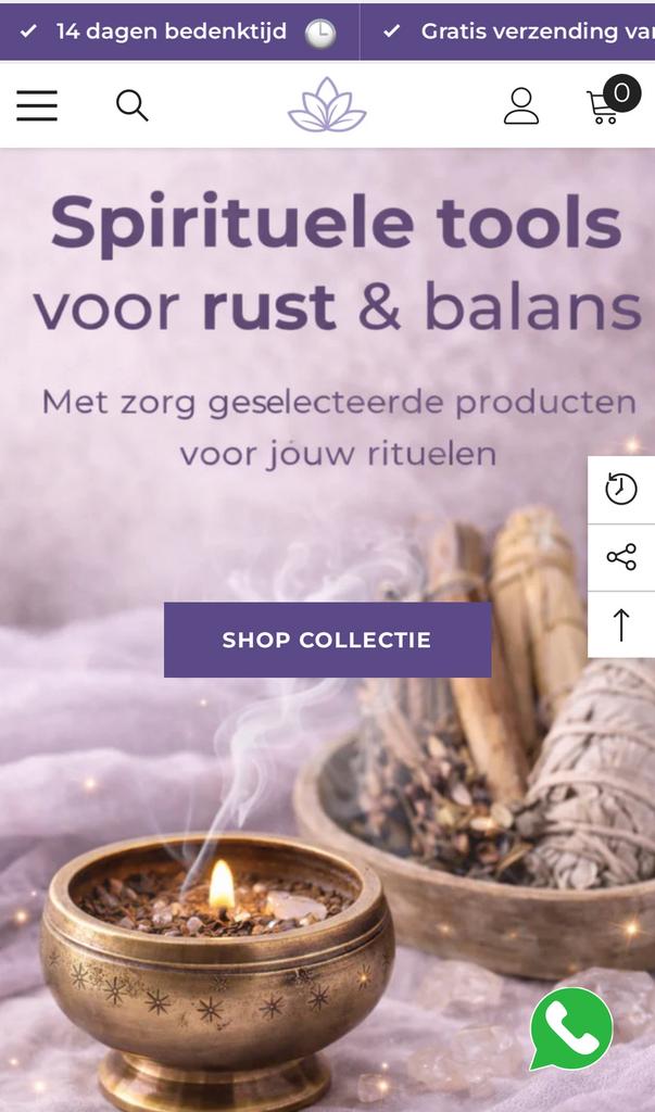 Webshop of website op maat binnen 5 dagen, Computers en Software, Besturingssoftware, Ophalen of Verzenden
