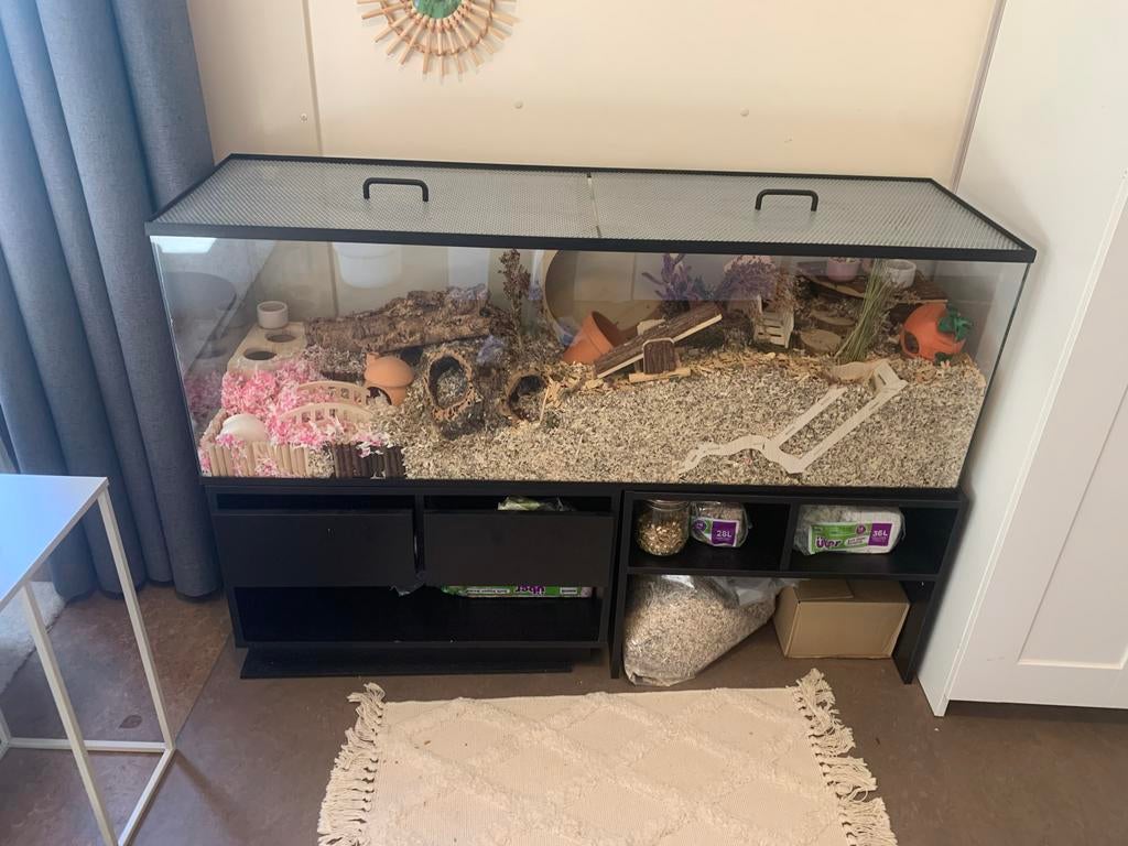 Mooie hamsterkooi + volledig interieur en syrische hamster, Kooi, 110 cm of meer, Zo goed als nieuw, Hamster