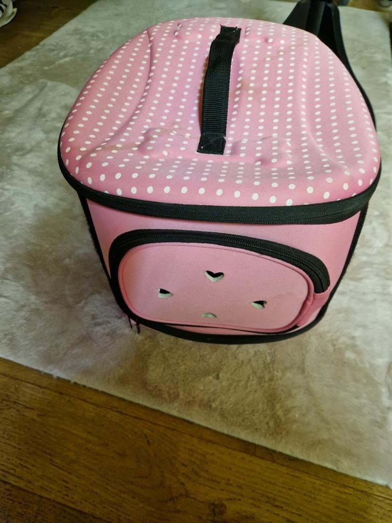 Kattenvoer transport, Ophalen of Verzenden, Nieuw