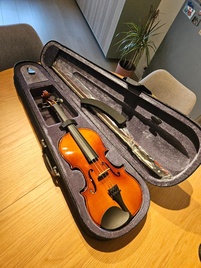 Stagg Viool VN-4/4, Muziek en Instrumenten, Strijkinstrumenten | Violen en Altviolen, Ophalen of Verzenden, 4/4-viool, Met koffer