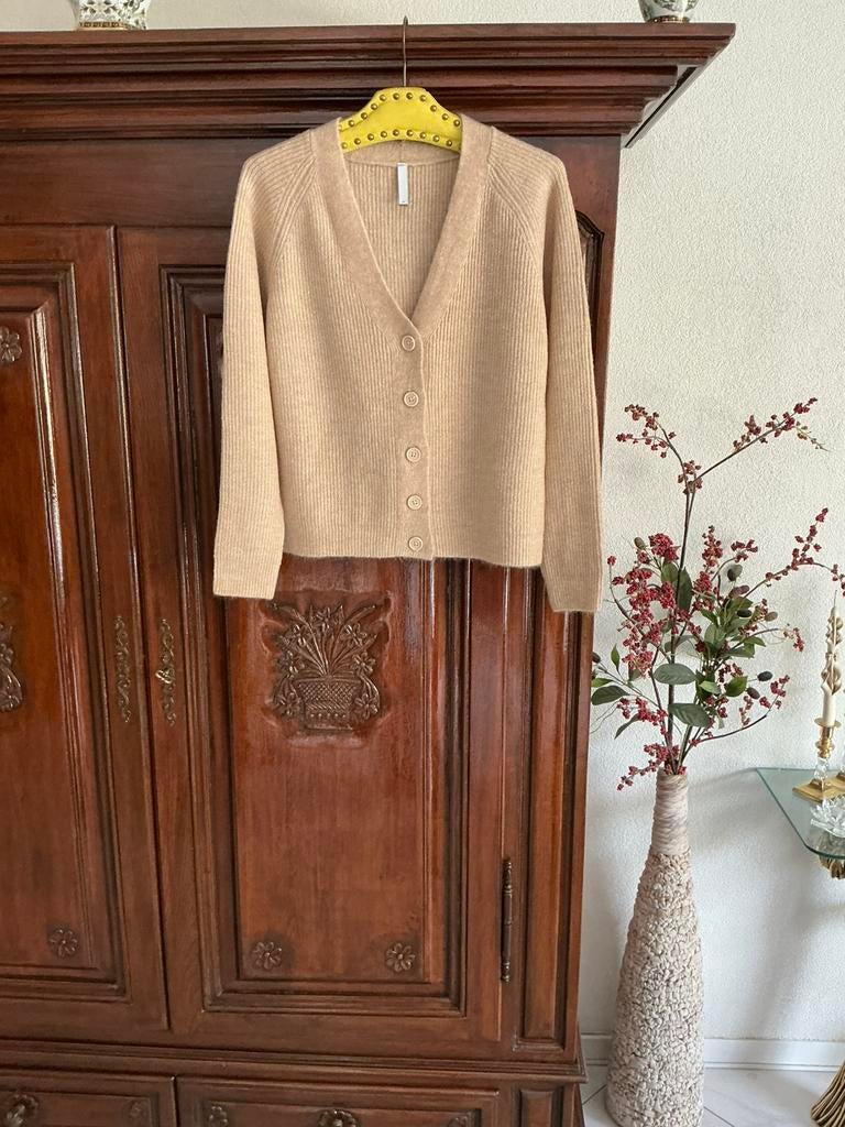 VEST, Ophalen of Verzenden, Nieuw