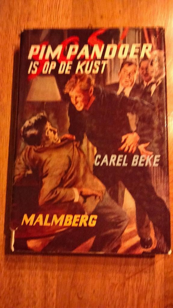 Pim Pandoer, Boeken, Ophalen of Verzenden, Gelezen, Fictie