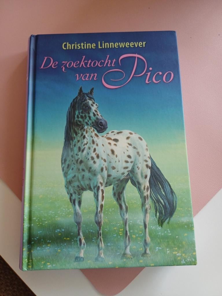 Christine Linneweever de zoektocht van PicoDe conditie is  n, Boeken, Ophalen, Nieuw