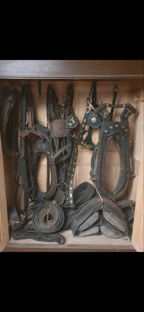 Paardenhamen, Ophalen