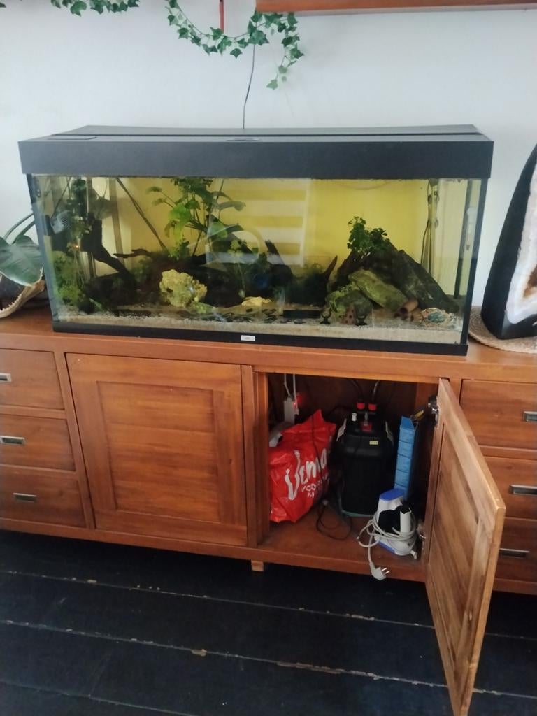 Te koop aangeboden mooie set aquarium en kast, Dieren en Toebehoren, Vissen | Aquaria en Toebehoren, Ophalen, Gevuld zoetwateraquarium
