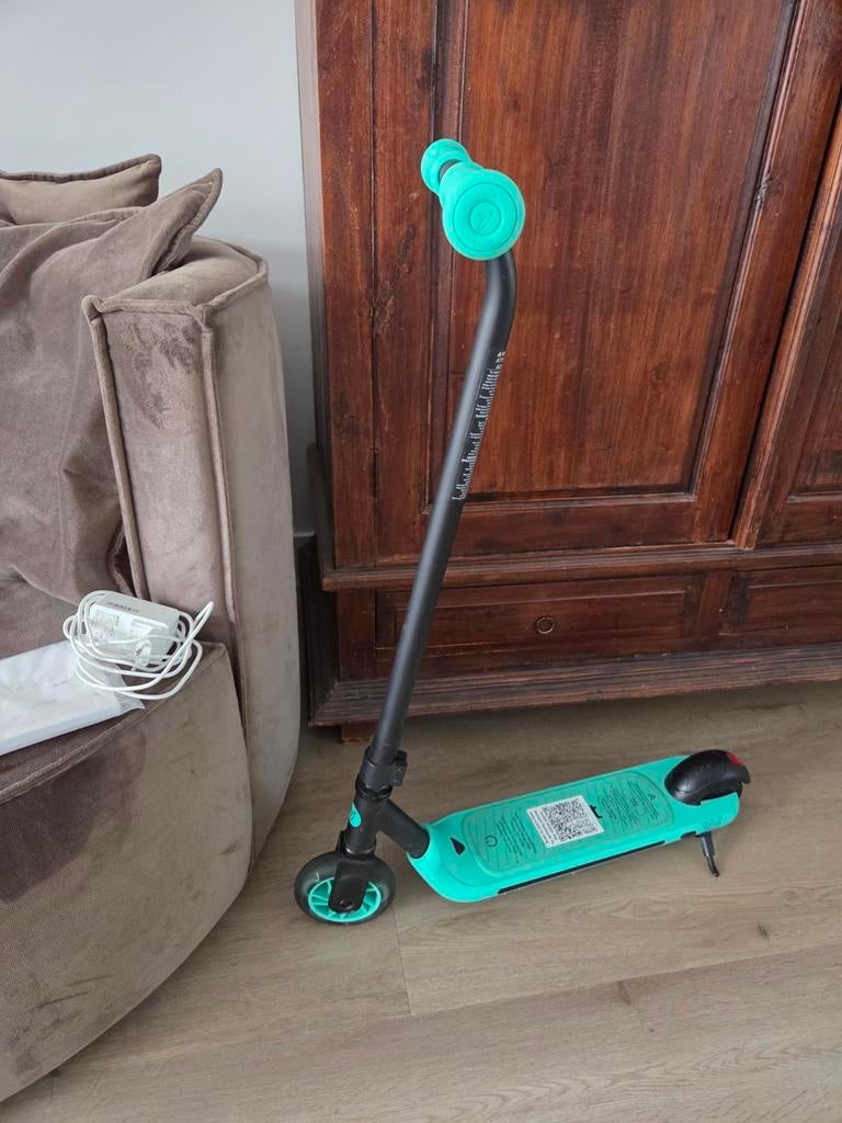 Ninebot elektrische kinderstep, Ophalen, Elektrische step (E-scooter)