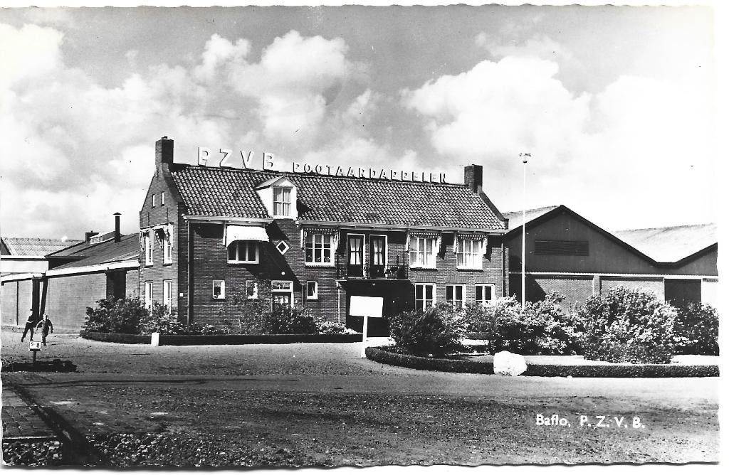 Baflo;  P.Z.V.B.  pootaardappelen  ( kaart 2 ), Verzenden, 1960 tot 1980, Gelopen, Groningen