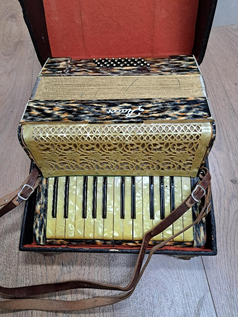 Accordeon, Gebruikt, Met koffer, 120-bas, Ophalen