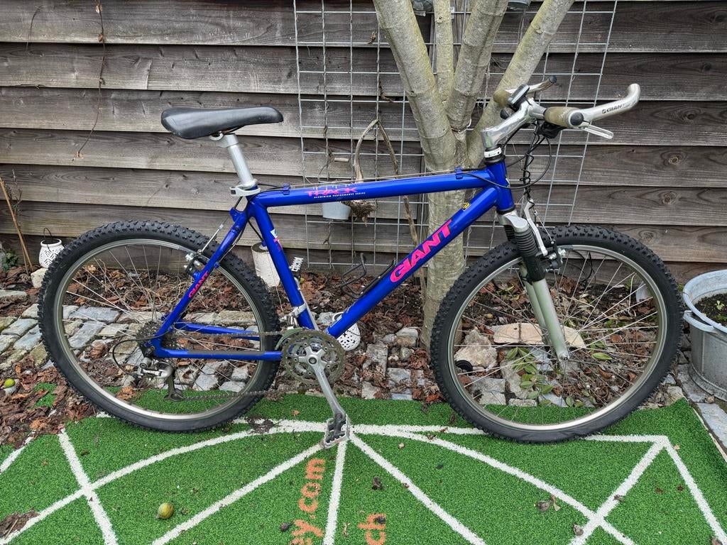 Keurige Giant Mountainbike - Klaar voor avontuur!, Fietsen en Brommers, Fietsen | Mountainbikes en ATB, Gebruikt, Heren, Giant