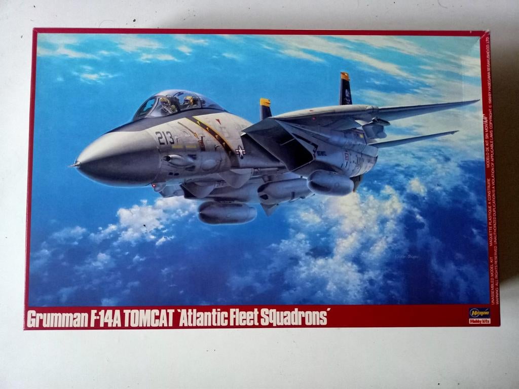 Hasegawa 1/48 Grumman F-14A Tomcat, Hasegawa, Gebruikt, Ophalen of Verzenden, Groter dan 1:72