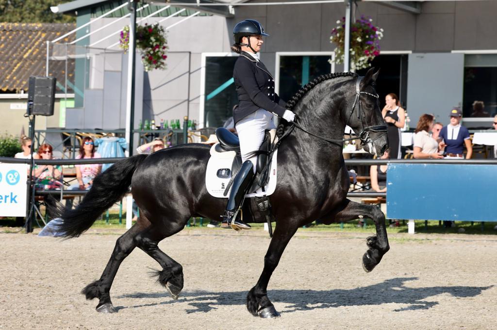 Topkwaliteit Friese paarden aangeboden, nu ook luxe veulens!, Dieren en Toebehoren, Meerdere dieren, 0 tot 2 jaar