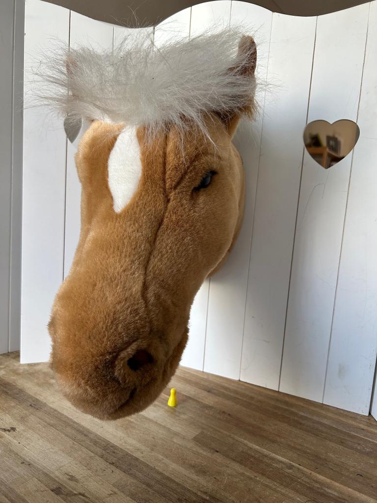 Wandhanger paardenhoofd, Ophalen of Verzenden, Zo goed als nieuw, Wanddecoratie