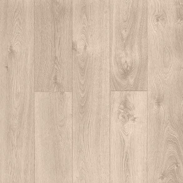 Laminaat 10mm Laminaat Beige Licht Eiken D3509, Ophalen, 75 m² of meer, Nieuw, Grijs