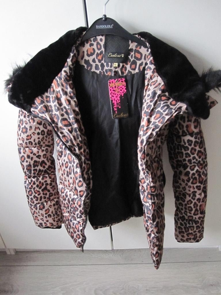 Warme winterjas panterprint COOLCAT XS met capuchon NIEUW, Kleding | Dames, Jassen | Winter, Zwart, Nieuw, Ophalen of Verzenden