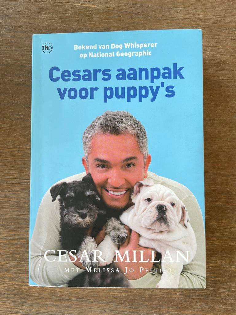 Cesar Millan - Cesars aanpak voor puppy's, Gelezen, Honden, Cesar Millan, Ophalen of Verzenden