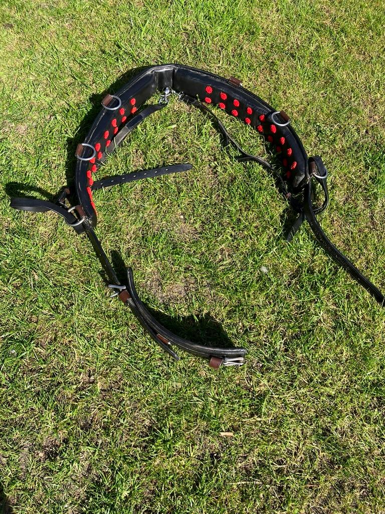 Te koop: lammert haanstra longeersingel, Ophalen, Zo goed als nieuw