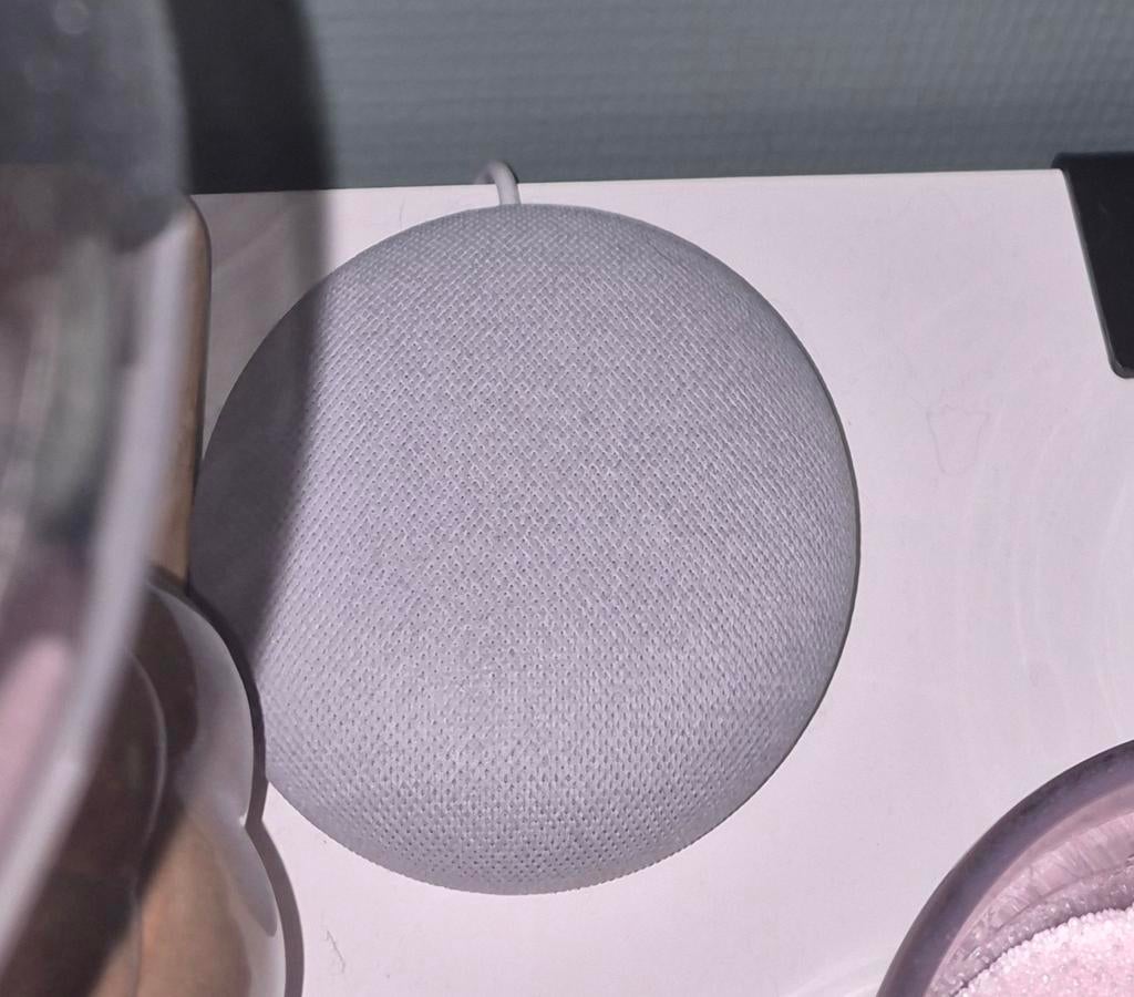 Google Home Mini, Ophalen of Verzenden