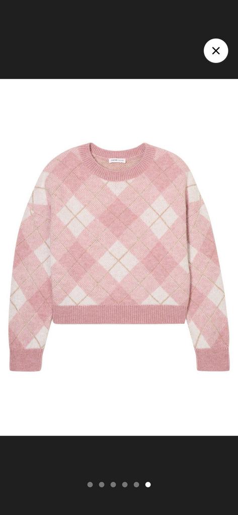 Nieuw trui L, Kleding | Dames, Truien en Vesten, Ophalen of Verzenden, Nieuw, Maat 42/44 (L), Roze