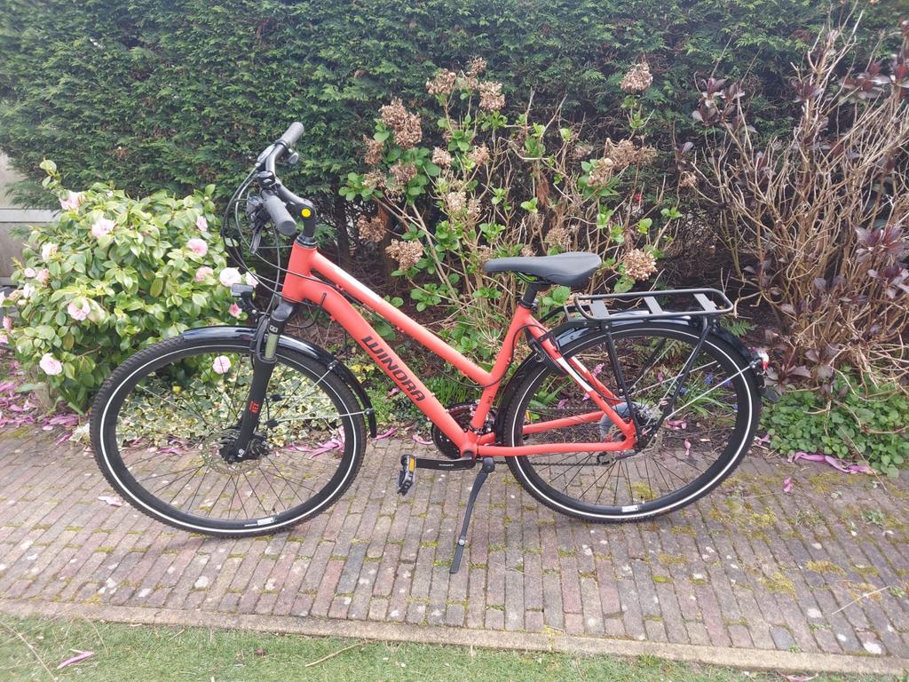 Winora Domingo damesfiets / trekkingfiets, zo goed als nieuw, 47 tot 50 cm, Versnellingen, Zo goed als nieuw, Ophalen