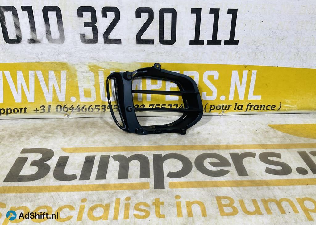 Grill Rooster Mercedes AMG GTR C190 A1908853300 Bumper Roost