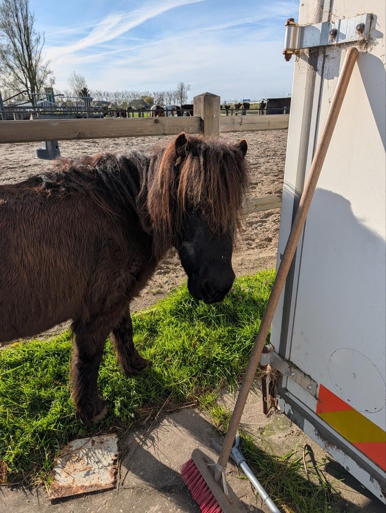 Stalling aangeboden, Stalling