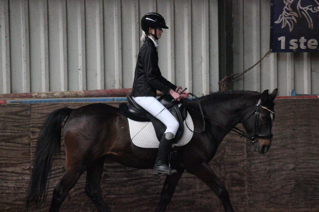 Bijrijd pony/paard gezocht!, Dieren en Toebehoren, Ophalen of Verzenden, Nieuw