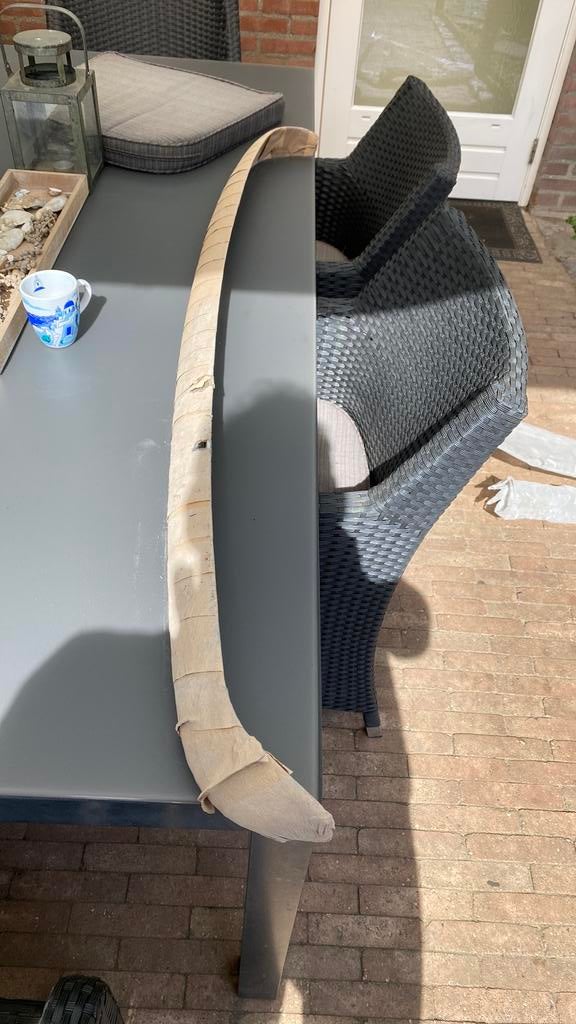 Bumper Triumph Tr3A, Ophalen of Verzenden, Nieuw, Triumph, Bumper