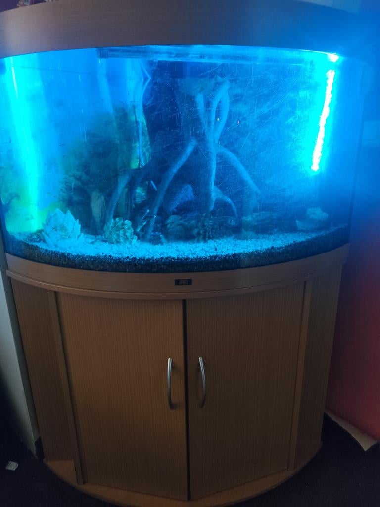 Aquarium, Dieren en Toebehoren, Ophalen