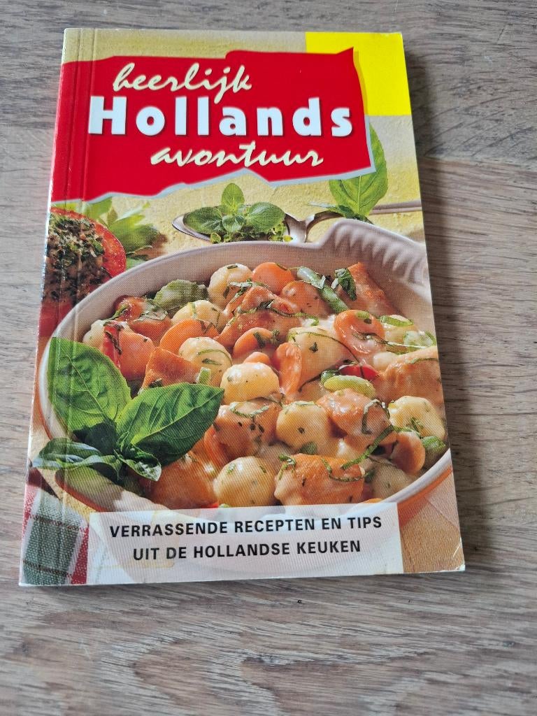 Heerlijk Hollands Avontuur - Irene van Blommestein, Ophalen of Verzenden, Zo goed als nieuw