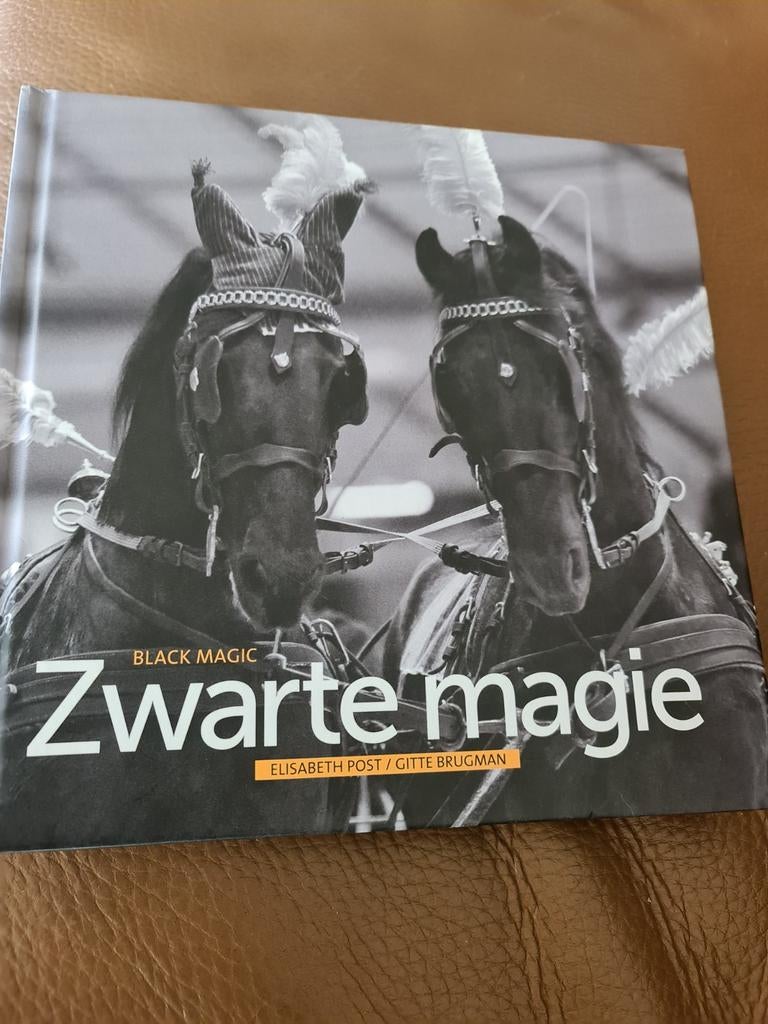 Boek Het Friese Paard - Zwarte Magie, Ophalen of Verzenden, Zo goed als nieuw, Elisabeth Post, Gitte Brugman