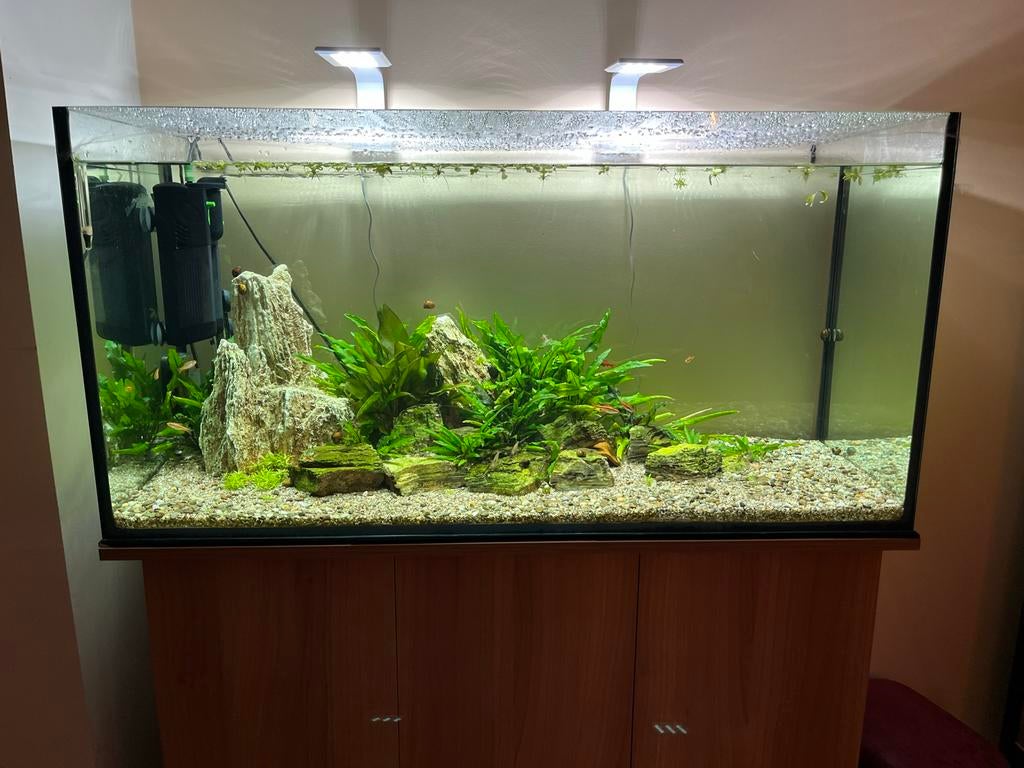 200 Liter aquarium + kast en toebehoren. Volledige setup, Ophalen, Gevuld zoetwateraquarium