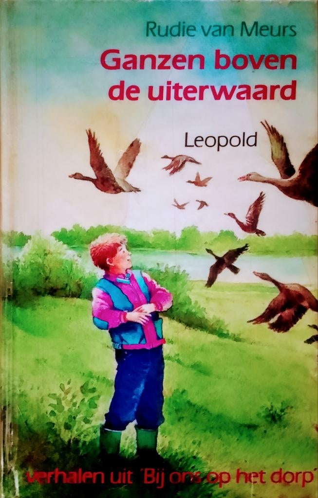 Ganzen Boven De Uiterwaard, Boeken, Gelezen, Ophalen of Verzenden, Fictie, Rudie Van Meurs.