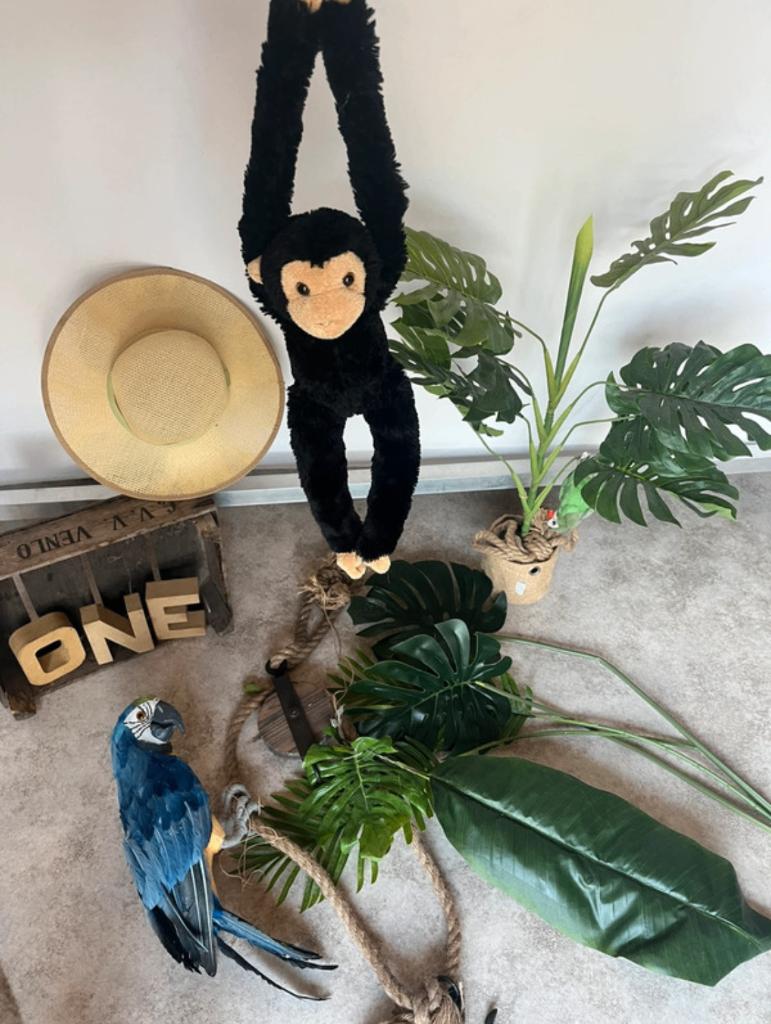 Cakesmash of kinderkamer jungle thema, Ophalen, Gebruikt, Wanddecoratie