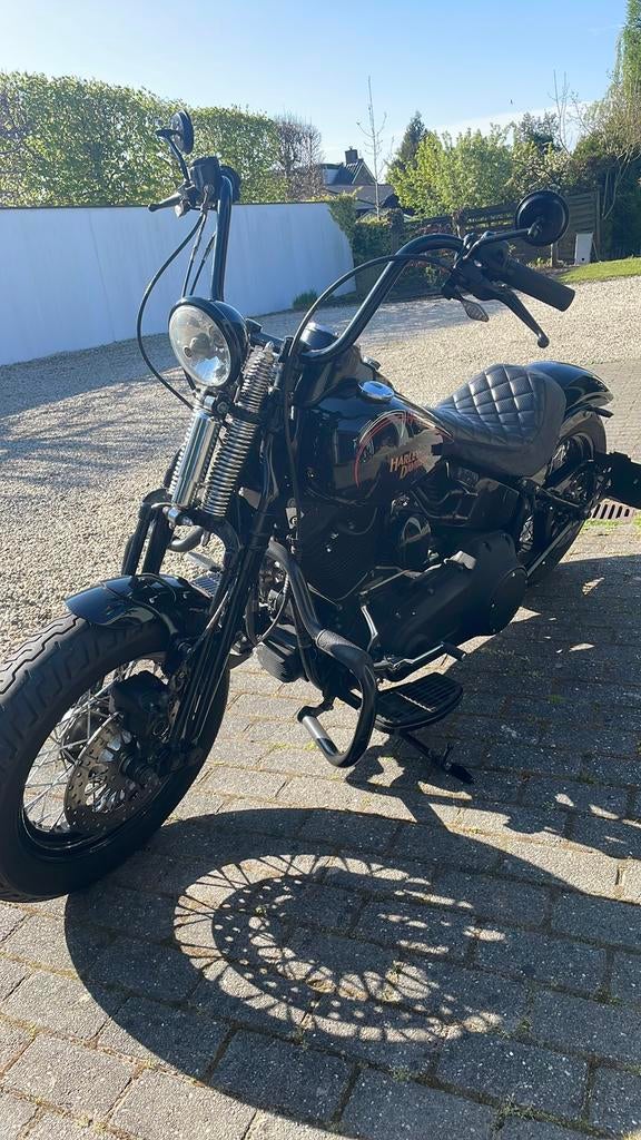 Harley Davidson Cross Bones