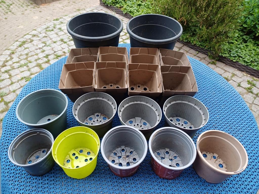 19 bloempotten, Kweken, Stekken, telen, Ophalen, Kweeklamp