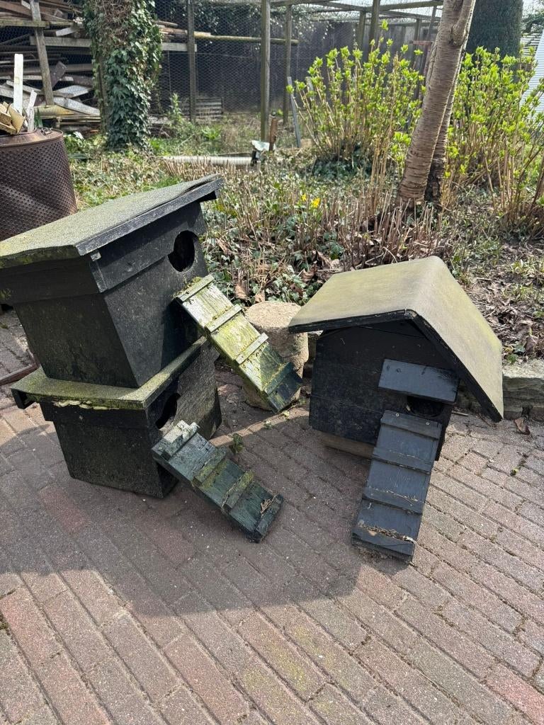 eendenhok (met sok) 3 stuks (mogelijk meer) - gratis ophalen, Ophalen, Gebruikt, Hout, Vogelkooi