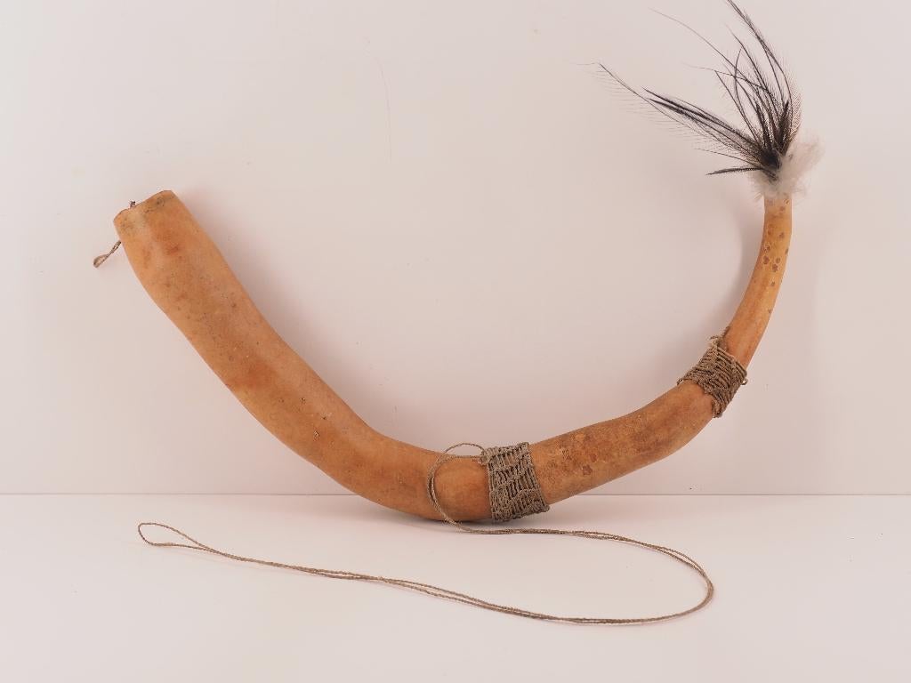 Versierde Koteka (Peniskoker) Papua Nieuw Guinea (251212-02), Ophalen of Verzenden