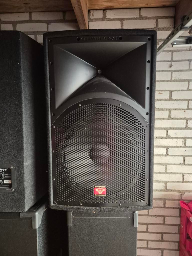 Cerwin-Vega! Intense! luidspreker, Ophalen, 120 watt of meer, Overige typen, Overige merken