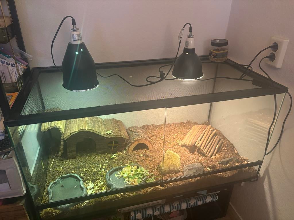 Terrarium 100x50x50 cm – Topstaat, zonder accessoires, Dieren en Toebehoren, Reptielen en Amfibieën, Schildpad, 0 tot 2 jaar