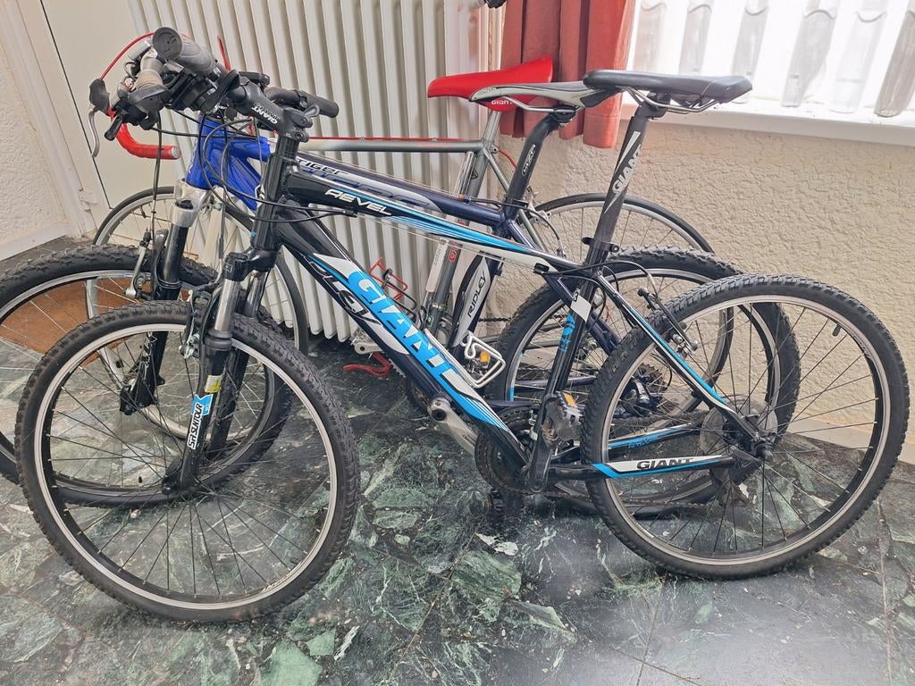 Ridkey + giant atb, Ophalen, Zo goed als nieuw, Meer dan 20 versnellingen, Giant