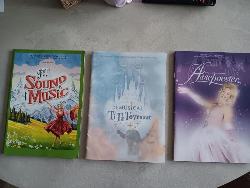 Efteling theater boeken assepoester sound of music tita tove, Ophalen of Verzenden, Zo goed als nieuw